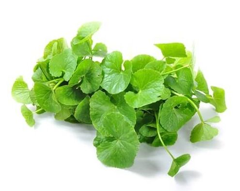 Το Weiprost περιέχει gotu kola (Centella asiatica)